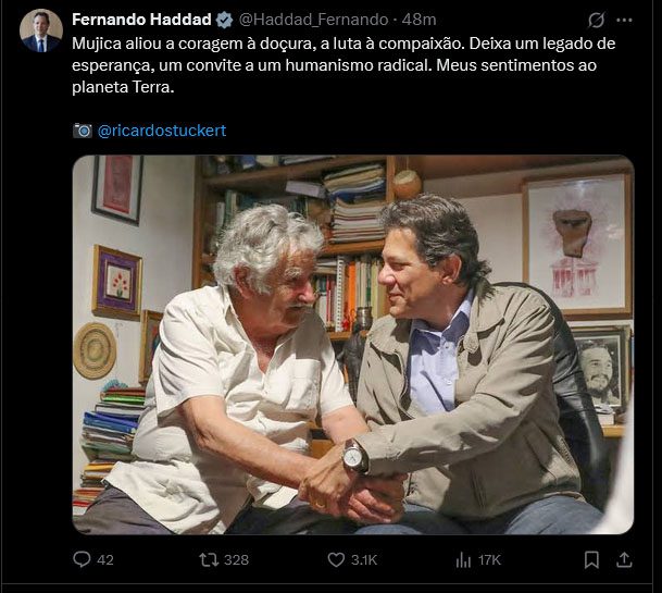 haddad mujica
