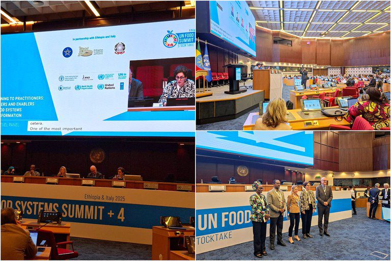 mds_painel.jpeg mds_painel.jpeg