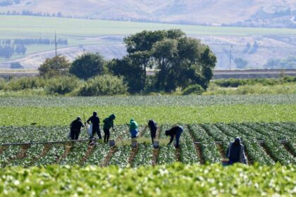 Comissão debate regras para contratação temporária de trabalhadores rurais