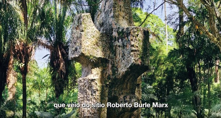 Burle Marx.jpeg Burle Marx.jpeg