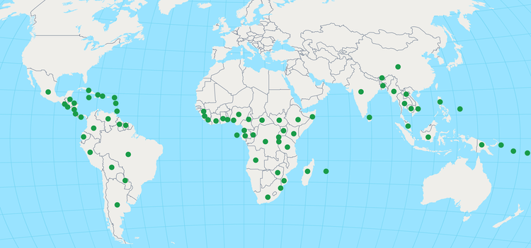 Veja onde estão as 74 nações que possuem florestas elegíveis para integrar o fundo.png