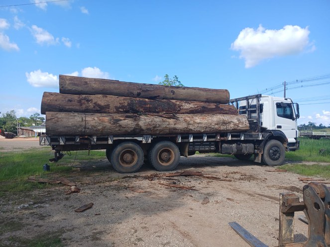 Transporte de toras de madeira foi realizado nos dias 27 e 29 de setembro para sistema prisional de RO