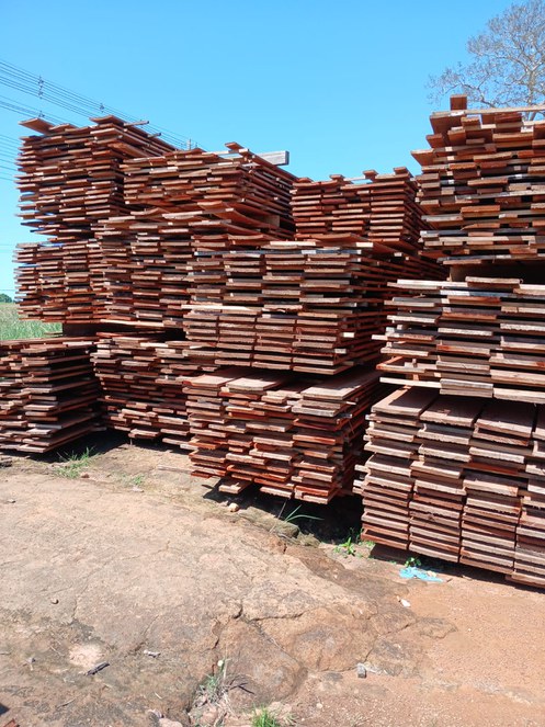 Cerca de 550 m³ de madeira serão destinados a construção de estruturas da Funai no estado