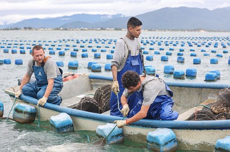 Foto premiada de Vinícius