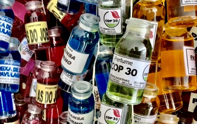 COP 30 regionalidades 2.jpeg COP 30 regionalidades 2.jpeg