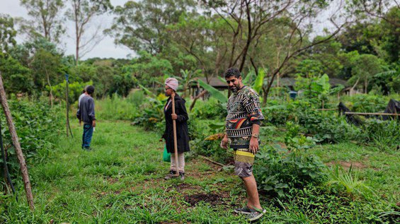 WhatsApp Image 2025-11-20 at 07.44.02.jpeg